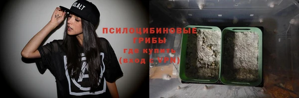 шишки Козловка
