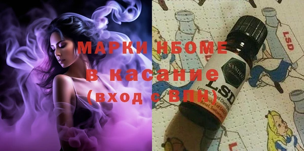 шишки Козловка