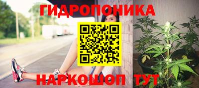 дмт Заволжье