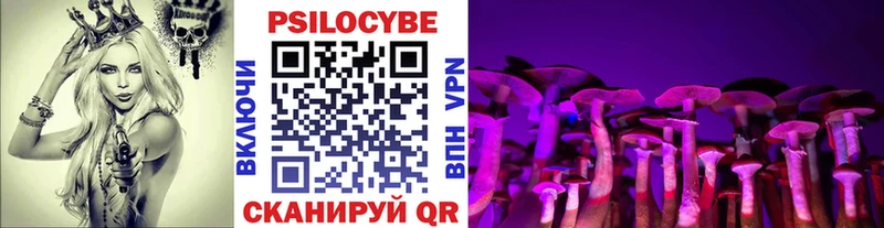 купить наркоту  hydra вход  Галлюциногенные грибы Cubensis  Малгобек 