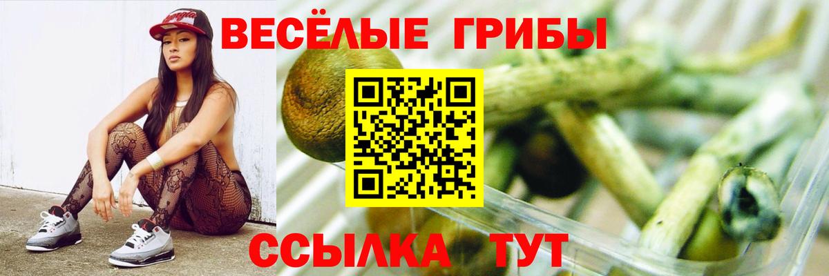Галлюциногенные грибы ЛСД Малгобек
